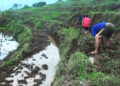 Without a proper irrigation canal, farmers in Samchhoeling depend on rain- Trongsa