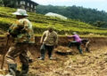 Children helping their parents in the fields with schools closed, Zhemgang