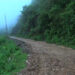 Over Nu 2M community work contract awarded directly to contractors by Gewog Officials in Dramedtse