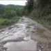 People of Chhoekhor Toed in Bumthang continue to wait for a blacktopped road