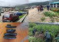 Seven arrested in Bumthang for marijuana harvesting and possession of hashish