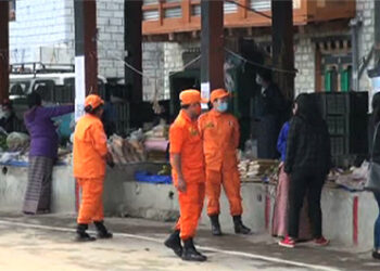 Bhutan marks Global Tiger Day with the announcement of six new tiger sightings