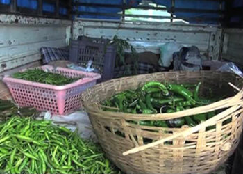 Local chilli fetching hot prices again