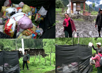 Waste management at the Cordyceps collection sites