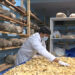Highland Dairy Products, one of many businesses COVID-19 gave birth to