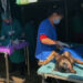105000 dogs in the country to be sterilised by 2023