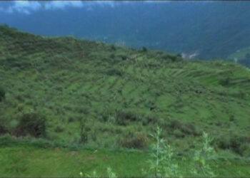 Irrigation problem in Gangjab chiwog to be solved soon, Wangdue Phodrang