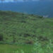 Irrigation problem in Gangjab chiwog to be solved soon, Wangdue Phodrang