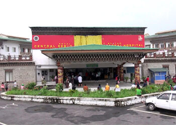 Gelegphu CRRH records 10 malaria and 4 dengue cases