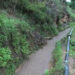 Towards uninterrupted irrigation water supply, Thanggoo and Wangjokha in Wangdue