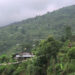 Khamaedtapthang still awaits for the promised farm road, Darla in Chhukha