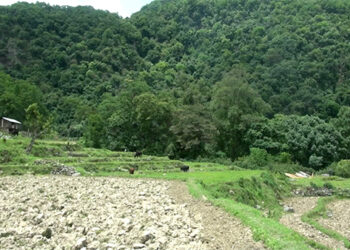 People in Korphu looking forward to channel fencing of their fields, Trongsa