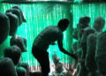 A group of youth in Lhuentse ventures into mushroom cultivation