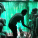 A group of youth in Lhuentse ventures into mushroom cultivation