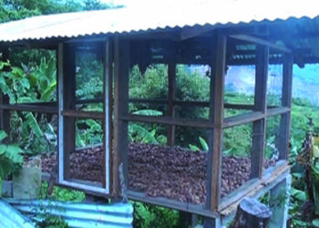 Onion farmers in Shumar Gewog, Pema Gatshel in need of curing sheds