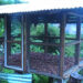 Onion farmers in Shumar Gewog, Pema Gatshel in need of curing sheds