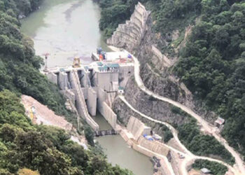 MHP and PHPA-I record unresolved irregularities to around Nu 380.6 M in 2019