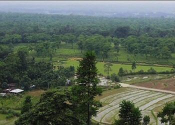 Jiti border, Samtse under increased vigilance