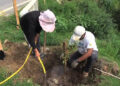 Planting tress along the Thimphu-Paro highway, TCB’s employment support scheme