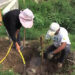 Planting tress along the Thimphu-Paro highway, TCB’s employment support scheme