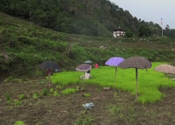A private revival organic farming project revives 24 acres of fallow land, Trongsa