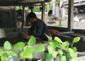Samdrup Jongkhar sees its first vermicompost unit