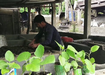 Samdrup Jongkhar sees its first vermicompost unit