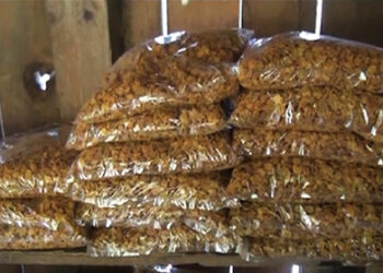 Farmers into Tengma business welcome lockdown relaxation in the gewogs, Monggar