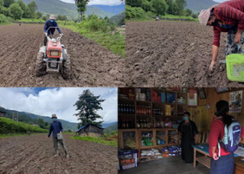 Lockdown restrictions ease in Gewogs