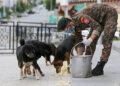 RBA starts a nationwide stray-dog feeding programme