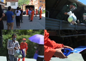 The movement cards and zoning system put to use for vegetable distribution