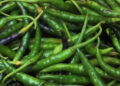 Chilli farmers in Khawajara-Tsephu celebrate bountiful harvest