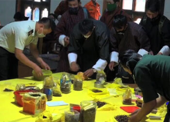 Demand for cordyceps plummets amid the pandemic