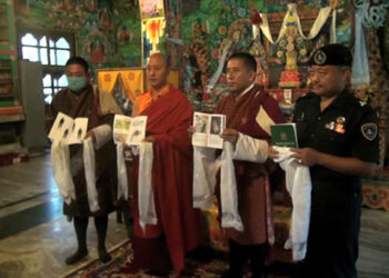 New insignia system for forestry officials