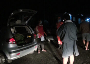 Vegetable delivery at the doorstep, Gelegphu