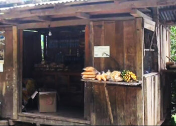 Farmers in Saling distressed for enforcing lockdown again after relaxing, Monggar