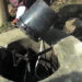 Biogas project in Semjong Gewog successful, Tsirang