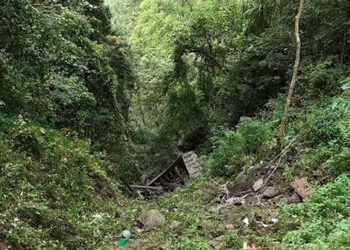 Vehicle accident claims a life, Zhemgang