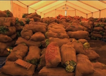 FCB depot in Damchhu flooded with cabbage