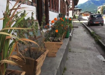 Haa, opening up cautiously