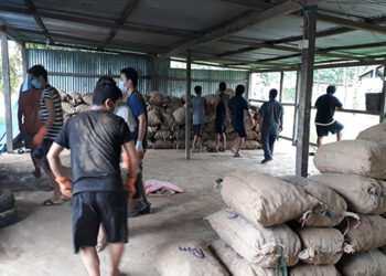 Gelegphu FCB auction yard resumes export service