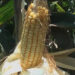 Hybrid maize to overcome the impacts of climate change with good yield potential