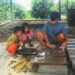 Sacrificing education to pursue a dream, story of Tshering Samdrup