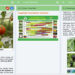 Crop Advisory, an App to help urban dwellers and youth in farming