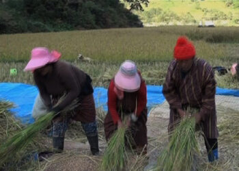 Dying culture of Babshey song in Trashi Yangtse