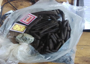 Police forward alleged illicit trafficking of cannabis and hashish cases to OAG, Monggar/Lhuentse