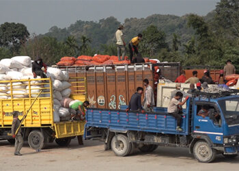 Cardamom export shoots up, Samtse