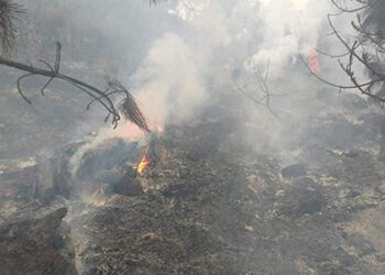 Forest fire in Chhubu Gewog contained after five days