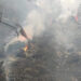 Forest fire in Chhubu Gewog contained after five days