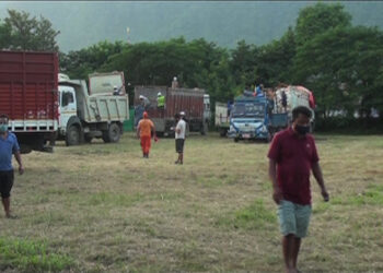 Importers welcome the opening of additional transhipment spaces